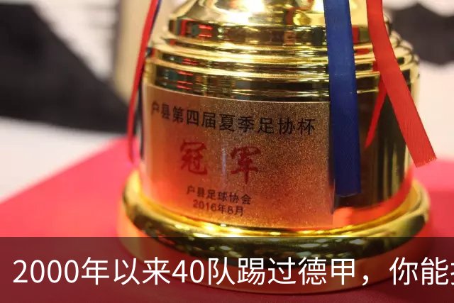 2000年以来40队踢过德甲，你能报出几个名字？